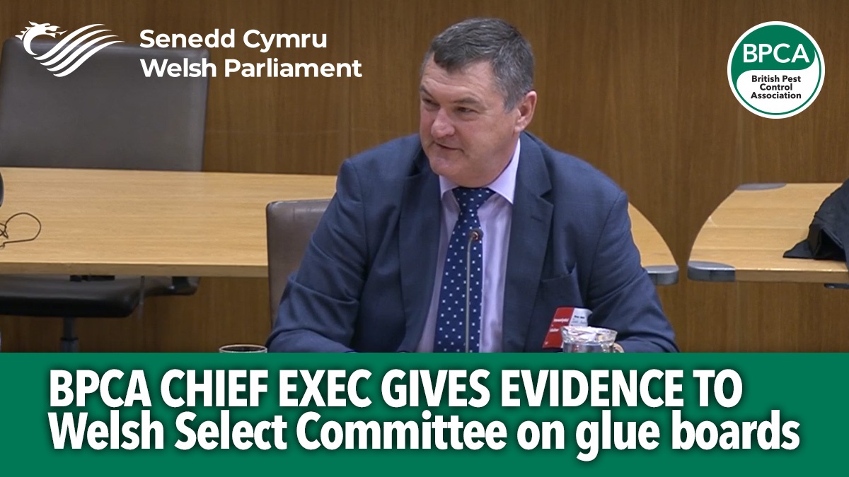 bpcagivesevidencewelshcommitteeglueboards bpcagivesevidencewelshcommitteeglueboards